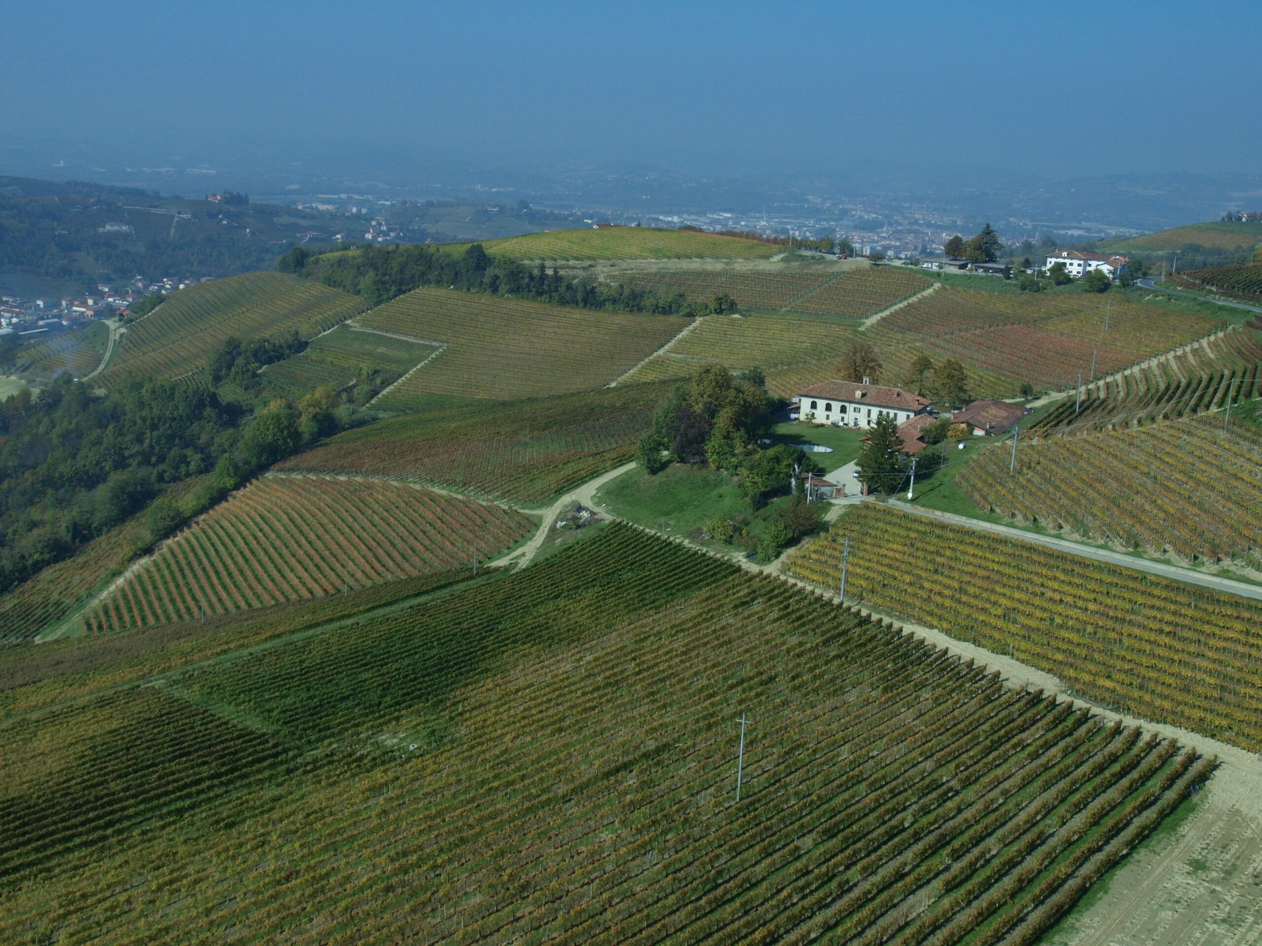 Tenuta Langasco